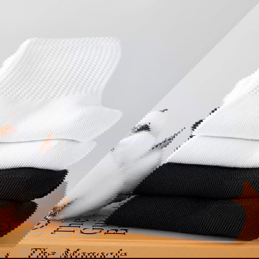 Chaussettes Hautes Classiques en Coton Pack 5
