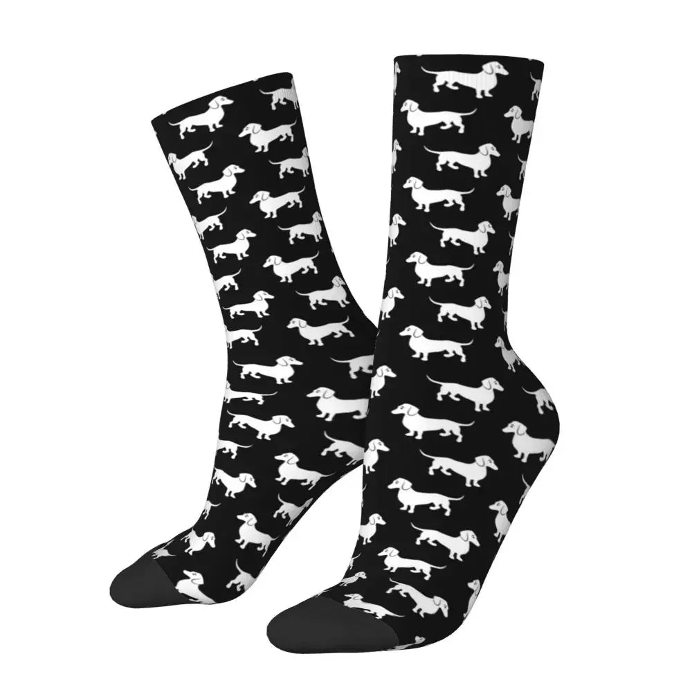 Chaussettes Noires Chien Teckel