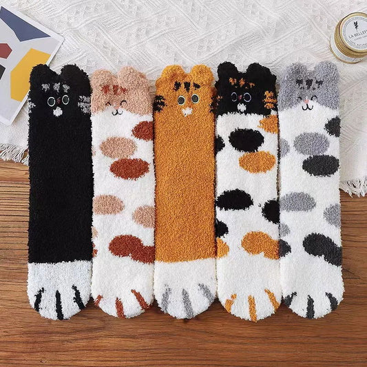 Chaussettes Chat Épaisses Pack de 5 