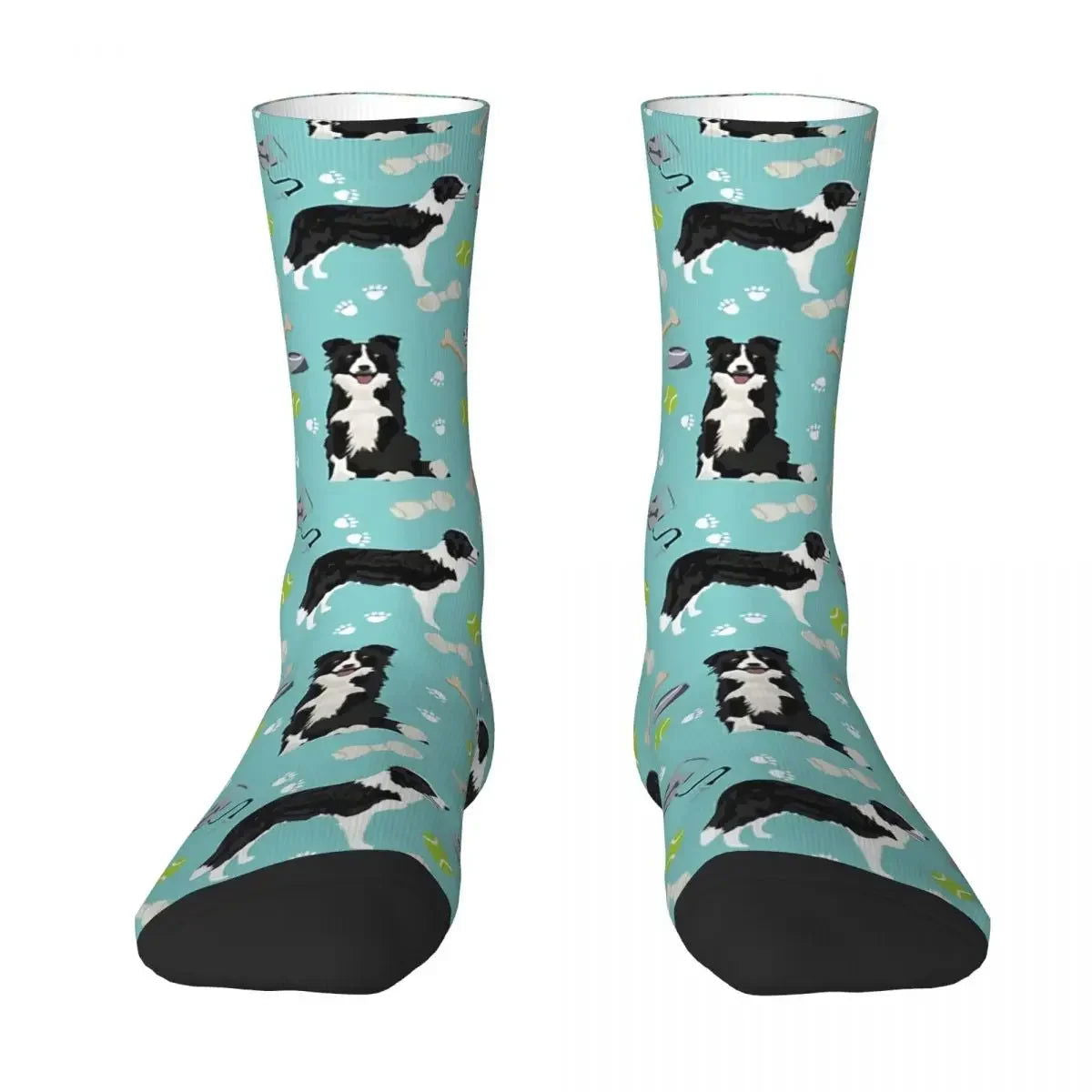 Chaussettes Chien Border Collie 