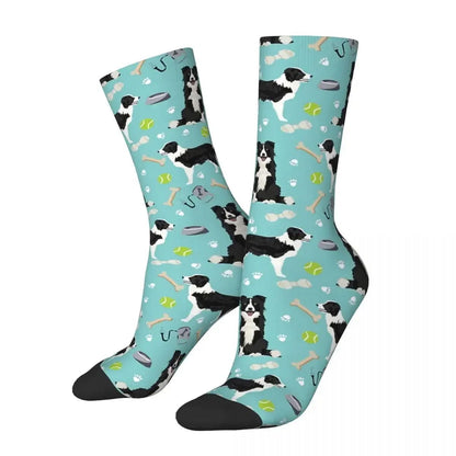 Chaussettes Chien Border Collie 