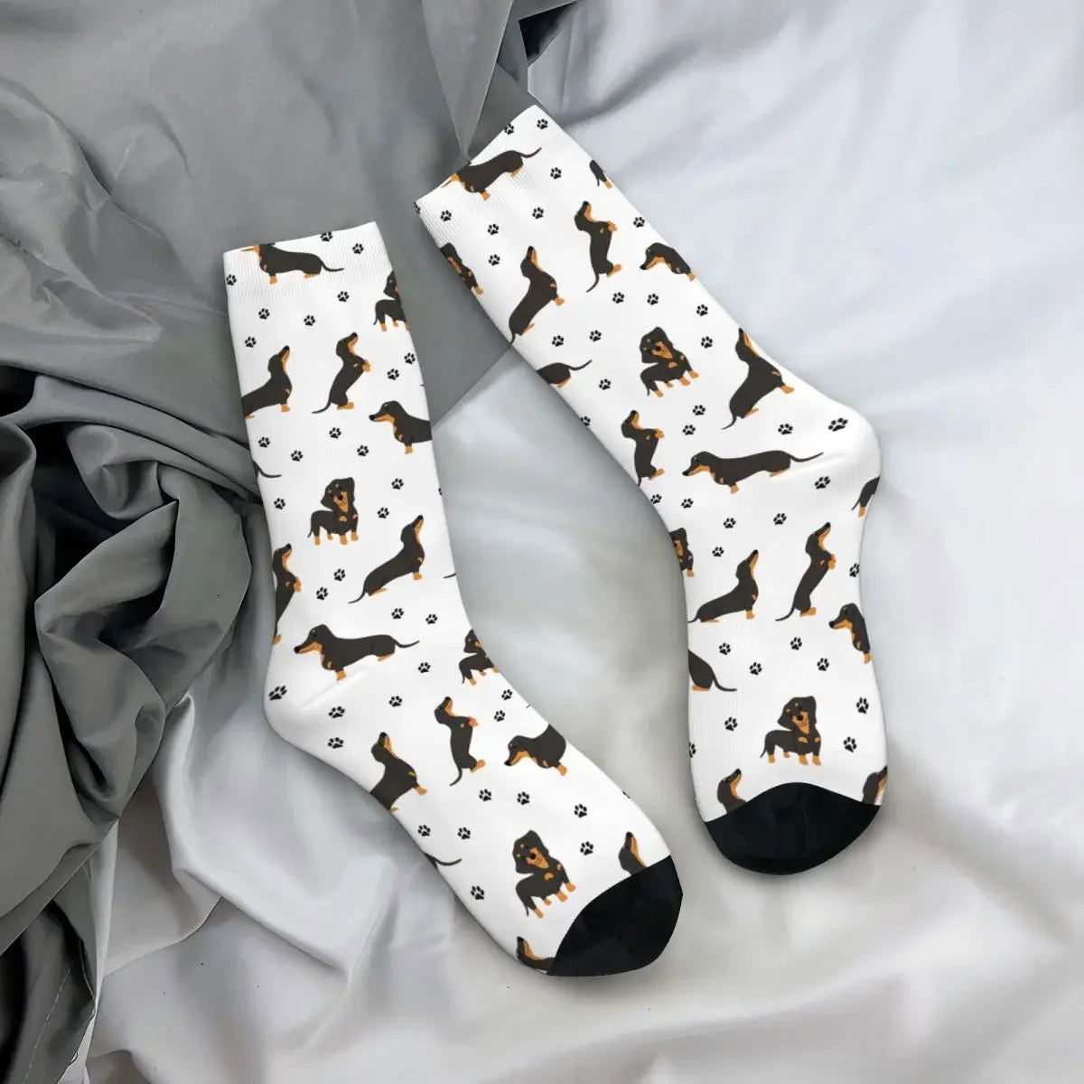 Chaussettes Chien Teckel 