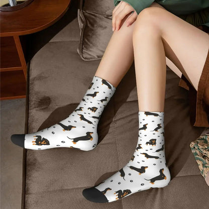 Chaussettes Chien Teckel 