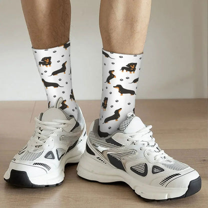 Chaussettes Chien Teckel 