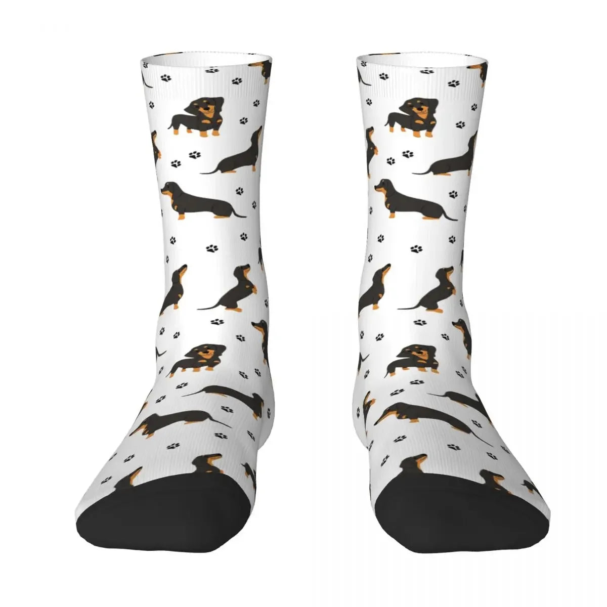 Chaussettes Chien Teckel 