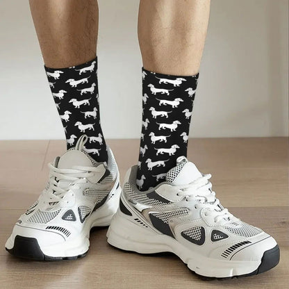 Chaussettes Noires Chien Teckel 