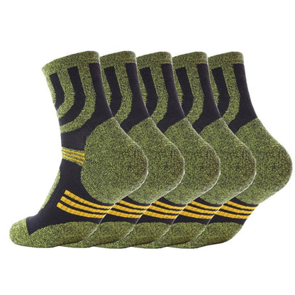 Chaussettes Randonnée Rembourrées Pack 5 