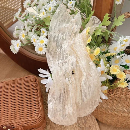 Chaussettes Transparentes en Dentelle 